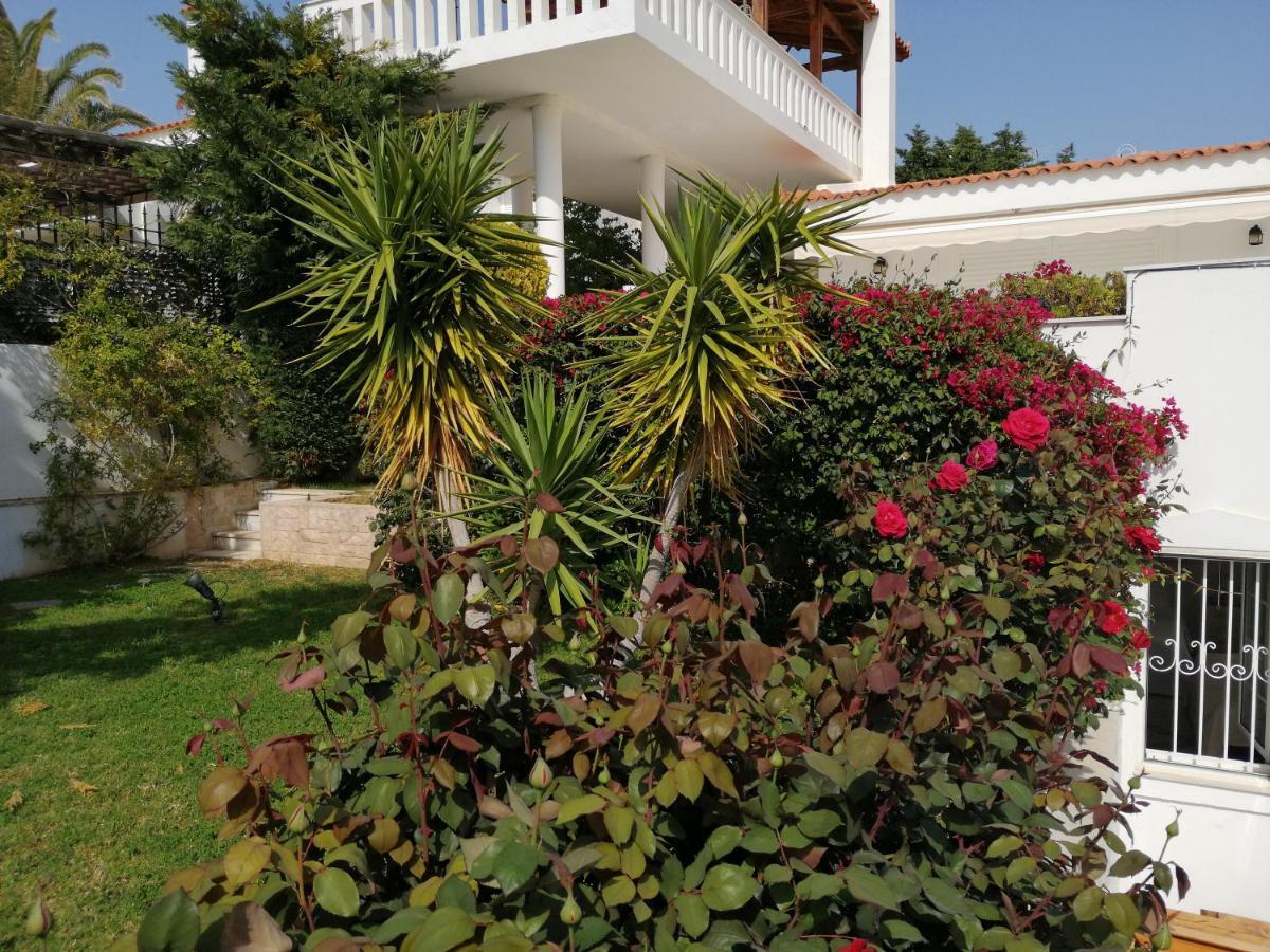 Eleftheria Sea House Sounion Exterior photo